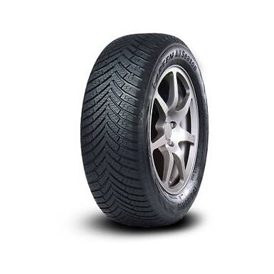 215 r16 100 leao igreen - r16,